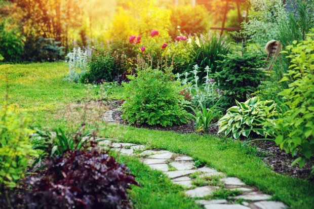A garden with flower beds and paths