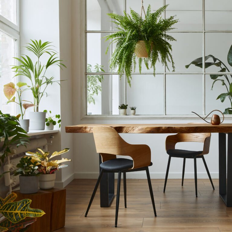A Step-By-Step Guide to Implementing Biophilic Design in Your Living Space